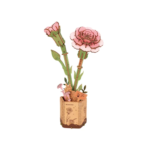 Pink Carnation